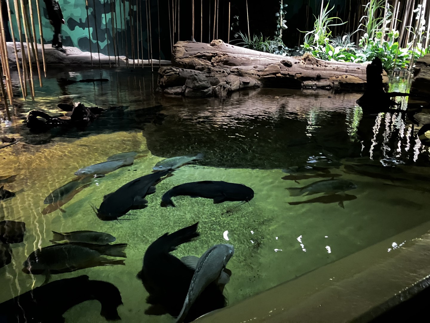 Weltreise auf 8° Ost – Exkursion ins Klimahaus nach Bremerhaven