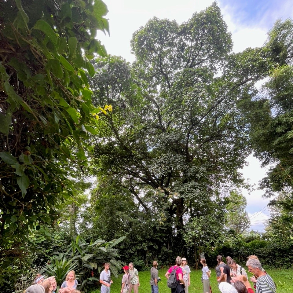 Gallery Item 1 copy copy copy copy