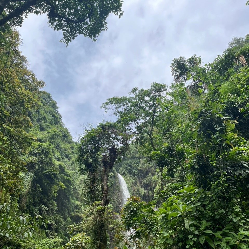 Gallery Item 1 copy copy copy copy copy