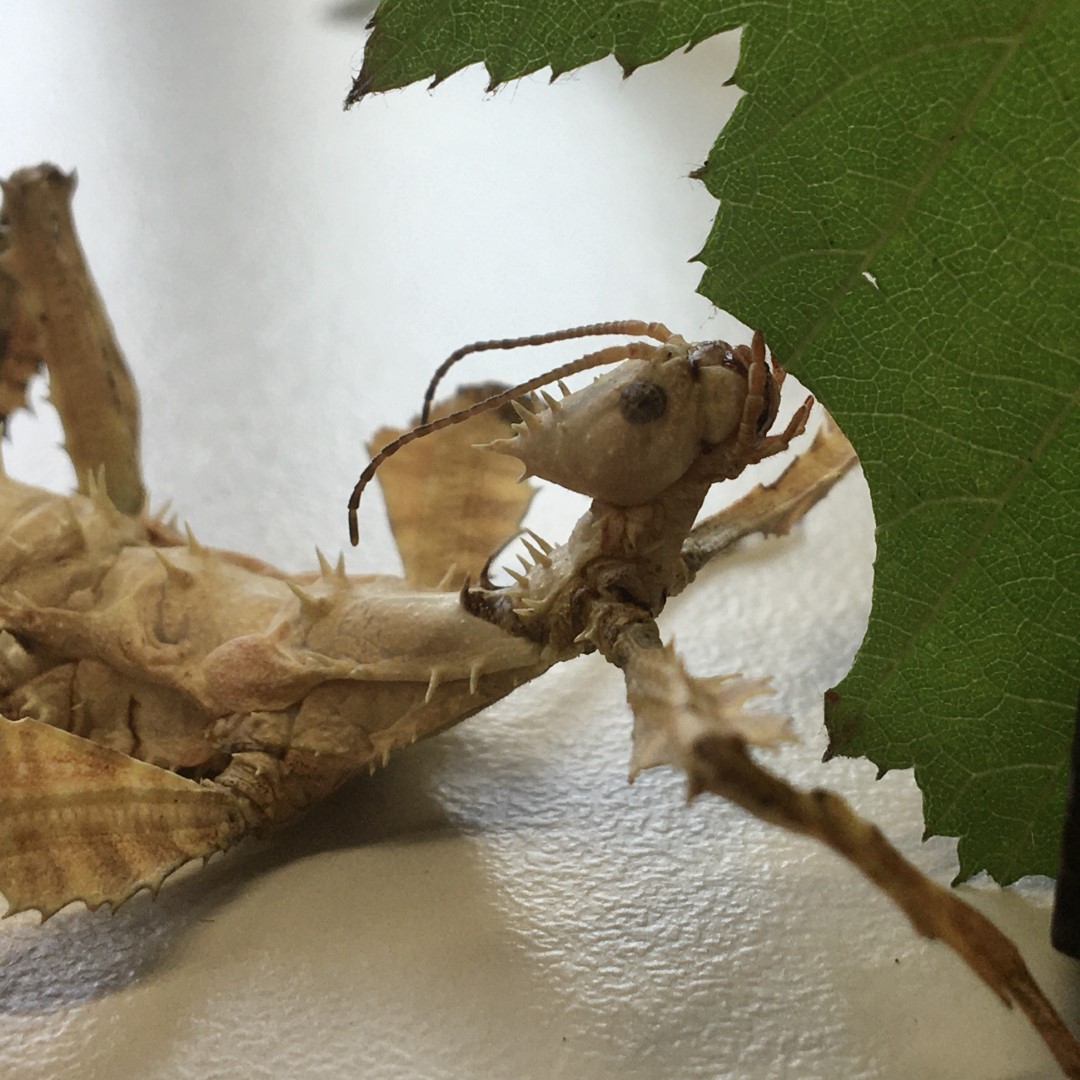 Gallery Item 1 copy copy copy copy copy